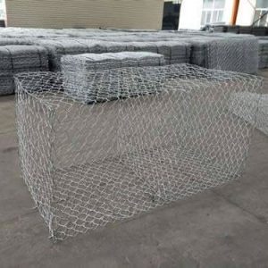 1index_r1_c9-qgasr0mn74yikqlfsewlfyh7bqn86k1dfaomxjsed4